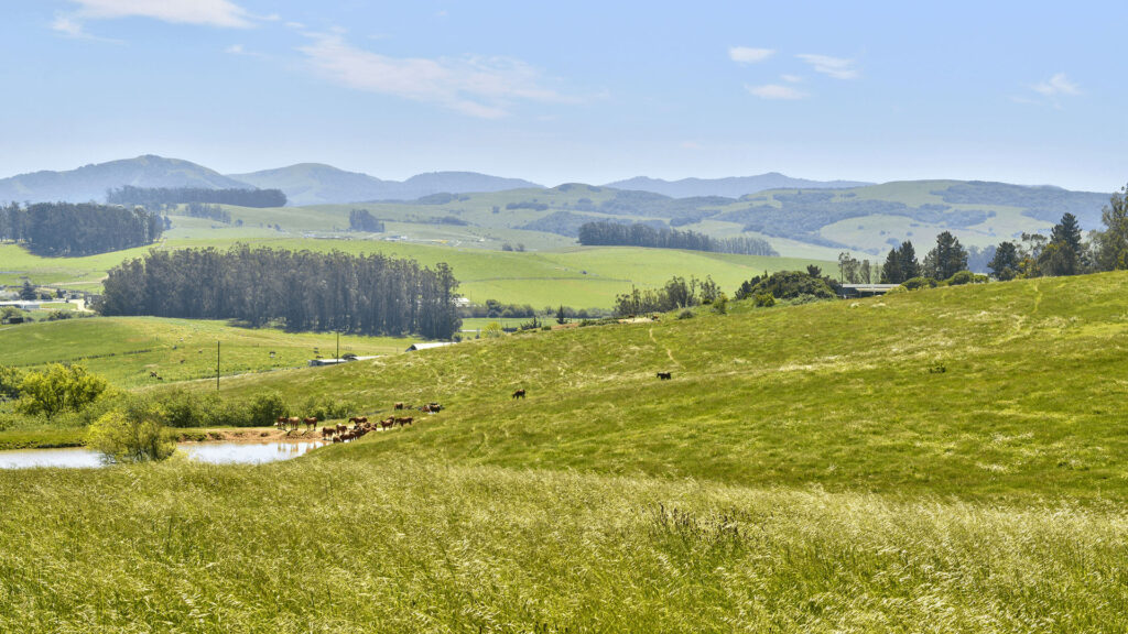 Petaluma 6484 Bodega Land Acreage Petaluma 6484 Bodega Land Acreage