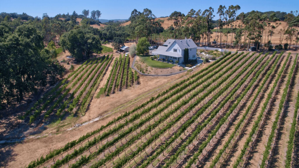 Windsor 6820-Starr Vineyard
