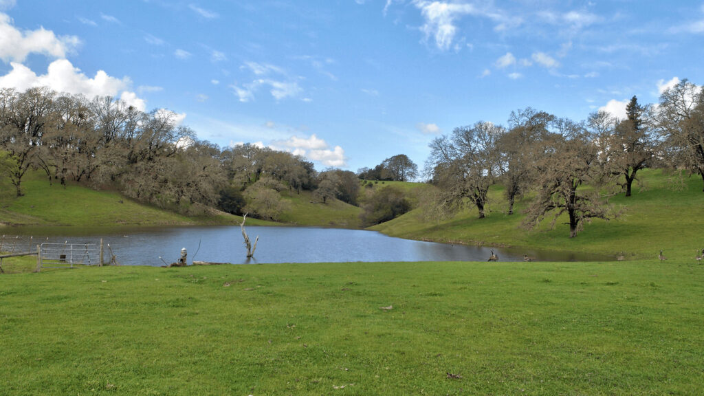 Windsor 7590 Starr Acreage Land Resevoir
